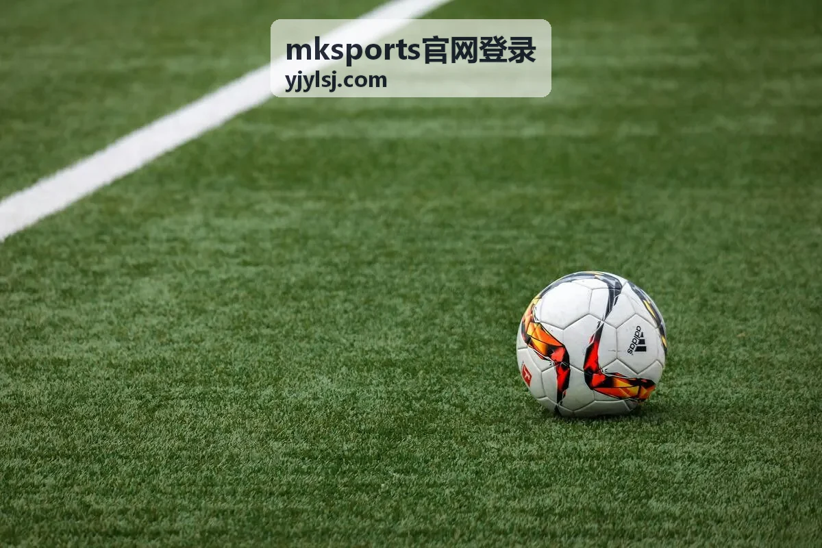 mksports官网登录操作说明配图