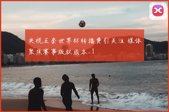 央视五套世界杯转播费引关注 媒体聚焦赛事版权成本_1