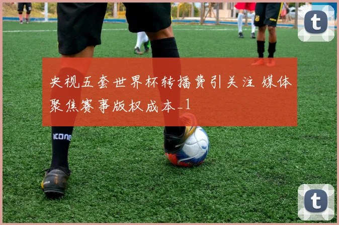 央视五套世界杯转播费引关注 媒体聚焦赛事版权成本_1