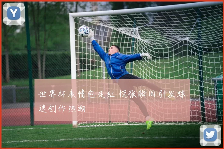 世界杯表情包走红 慌张瞬间引发球迷创作热潮