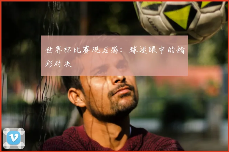 世界杯比赛观后感:球迷眼中的精彩对决