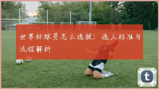 世界杯球员怎么选拔：选人标准与流程解析