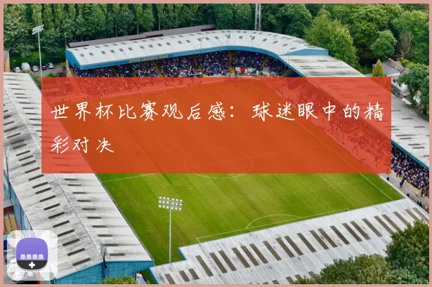 世界杯比赛观后感:球迷眼中的精彩对决