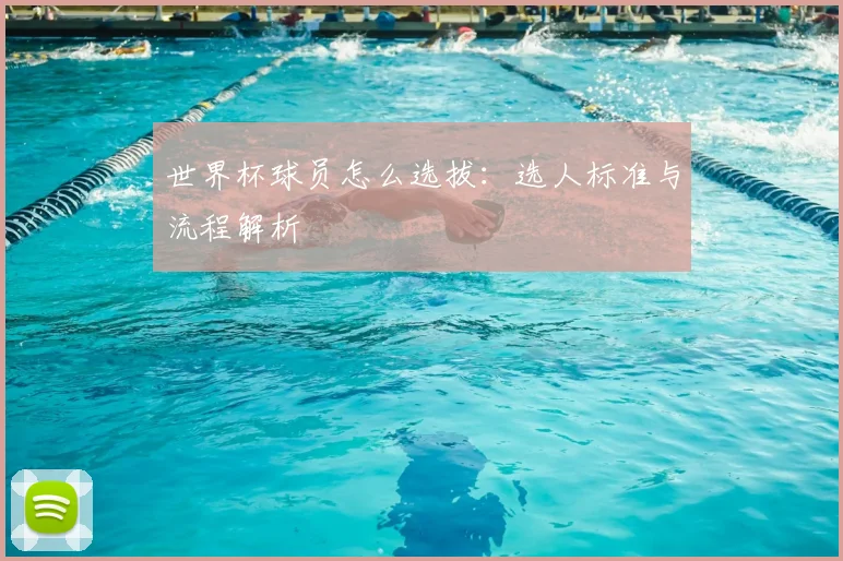 世界杯球员怎么选拔：选人标准与流程解析
