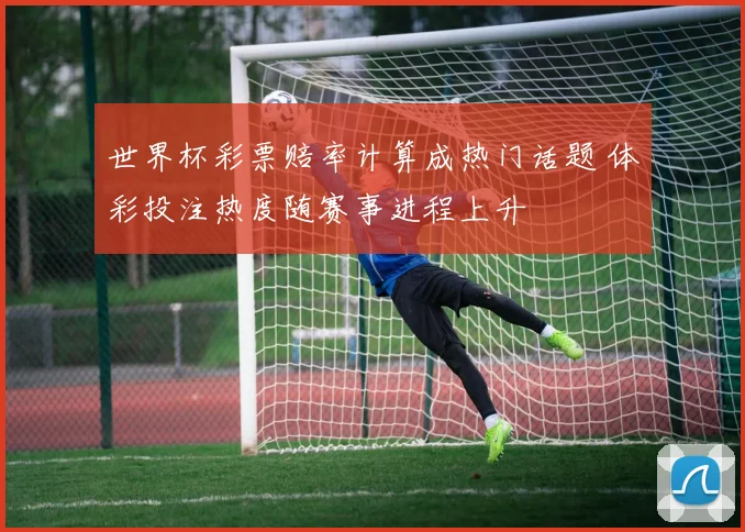 世界杯彩票赔率计算成热门话题 体彩投注热度随赛事进程上升