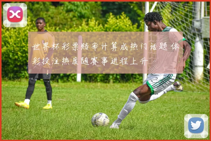 世界杯彩票赔率计算成热门话题 体彩投注热度随赛事进程上升