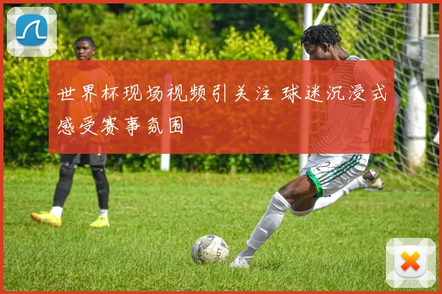 世界杯现场视频引关注 球迷沉浸式感受赛事氛围