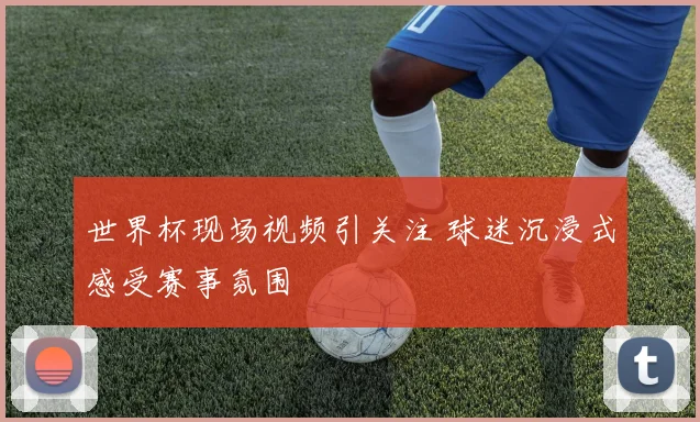 世界杯现场视频引关注 球迷沉浸式感受赛事氛围