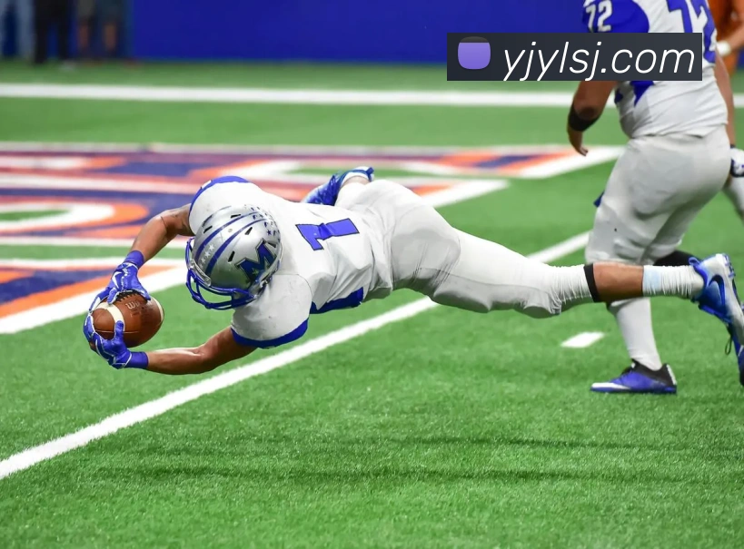 hth平台平台生态图